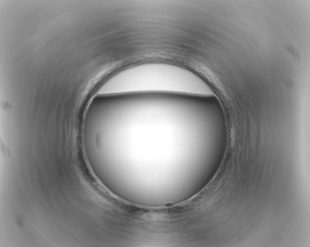 X0000091350444200708101040