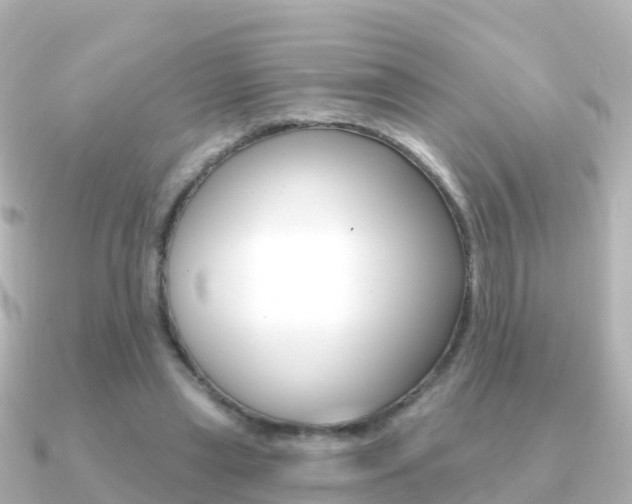 X0000091350445200708101040