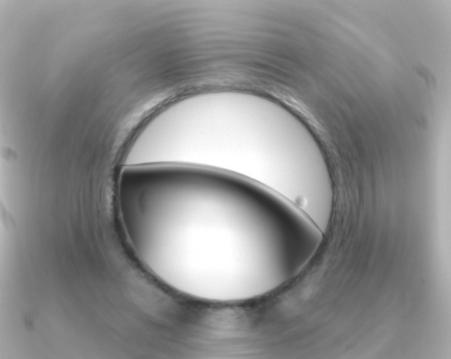X0000091350446200708101040