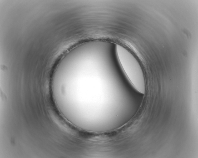 X0000091350447200708101040