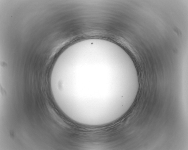 X0000091350448200708101040