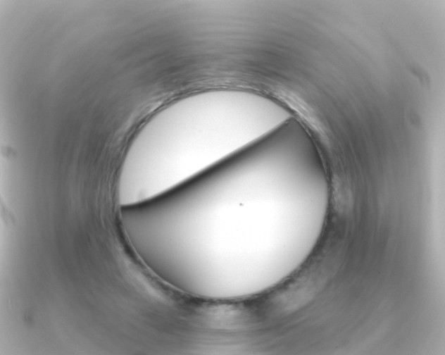 X0000091350449200708101040