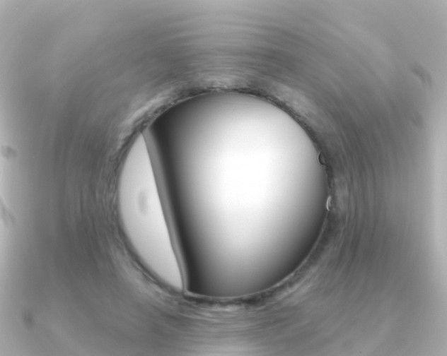 X0000091350450200708101040