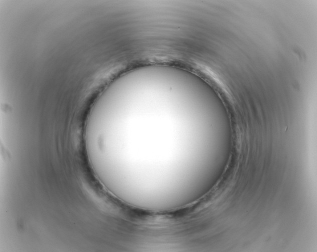 X0000091350451200708101040