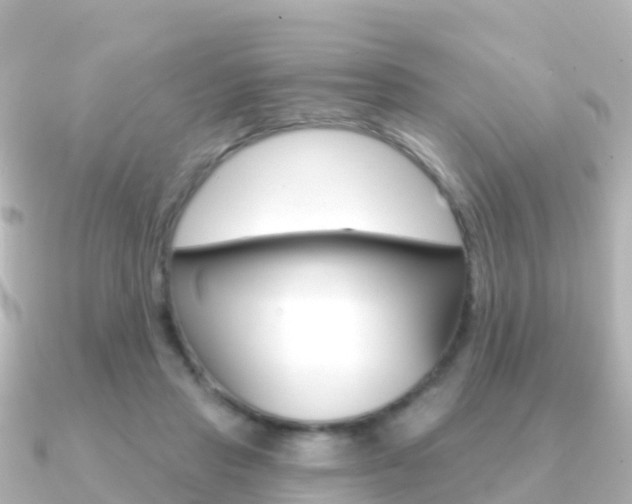 X0000091350453200708101040