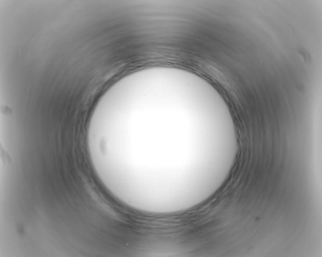 X0000091350456200708101040