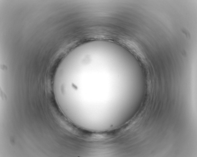 X0000091350457200708101040