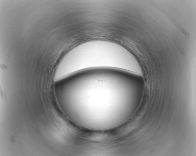 X0000091350458200708101040
