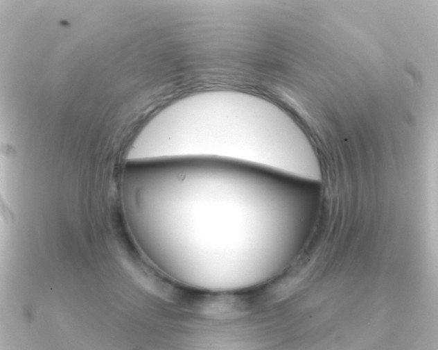 X0000091350459200708101040