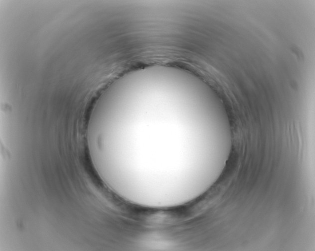 X0000091350460200708101040