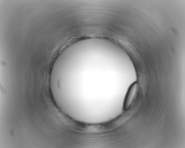 X0000091350461200708101040