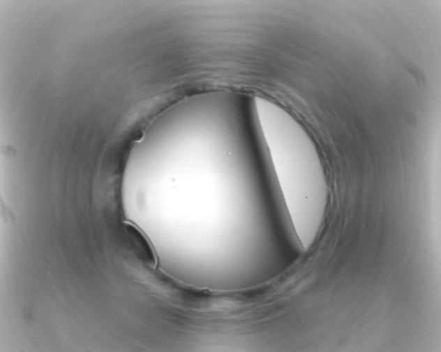X0000091350462200708101040