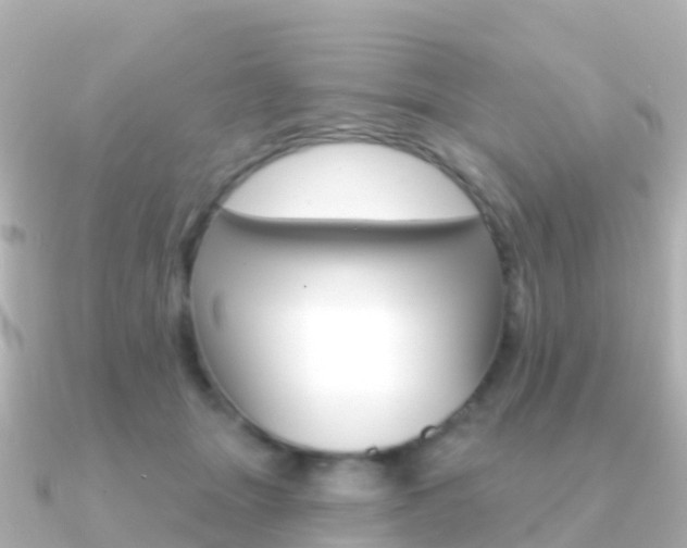 X0000091350463200708101040