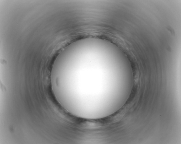 X0000091350464200708101040