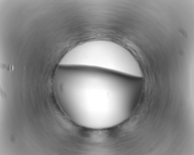 X0000091350465200708101040