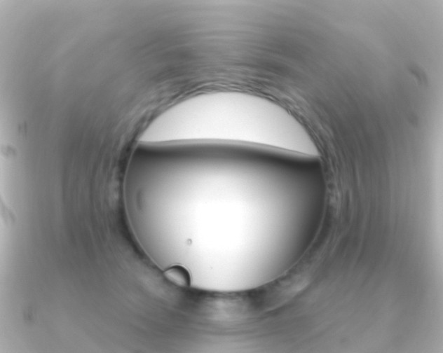 X0000091350466200708101040