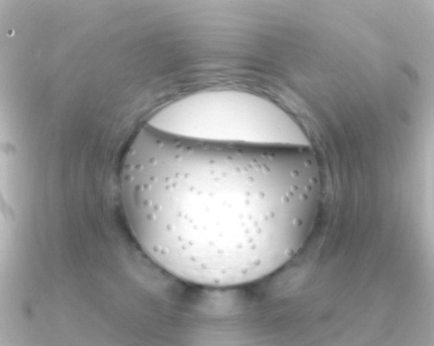 X0000091350469200708101040