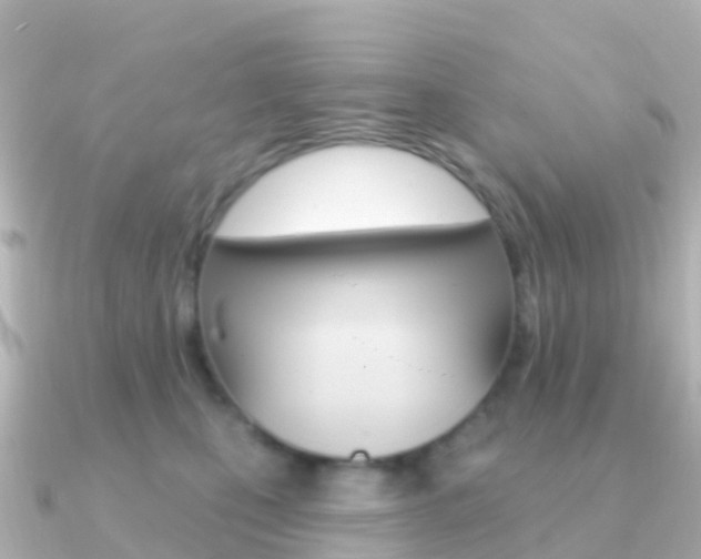 X0000091350471200708101040