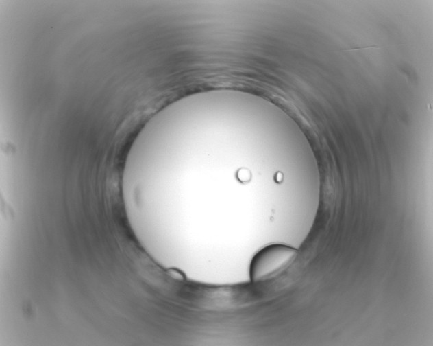 X0000091350473200708101040