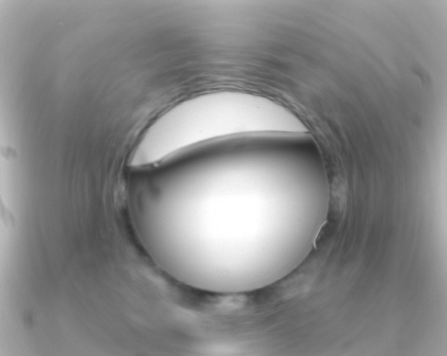 X0000091350474200708101040