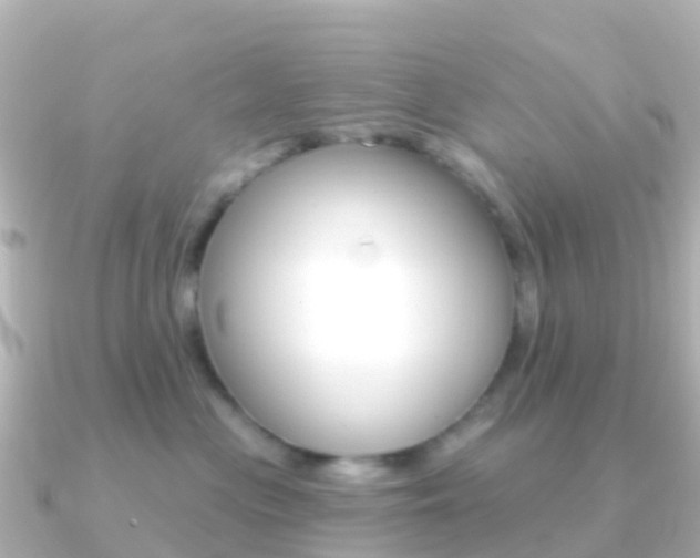 X0000091350477200708101040