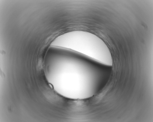 X0000091350478200708101040