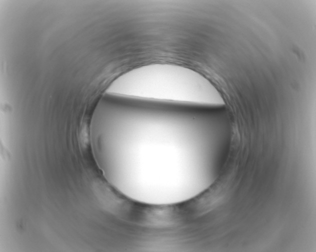 X0000091350479200708101040