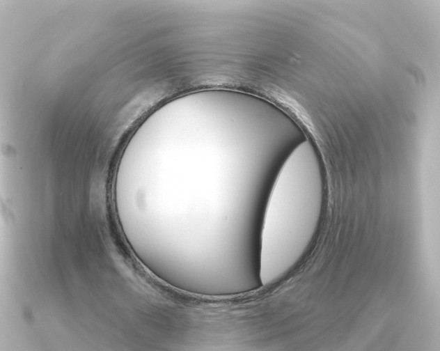 X0000091350482200708101040