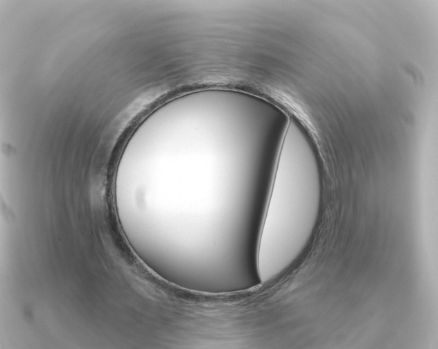X0000091350483200708101040