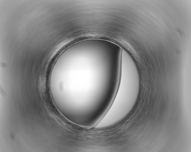 X0000091350484200708101040