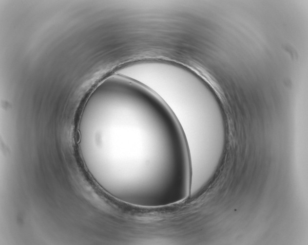 X0000091350485200708101039