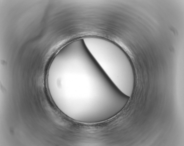 X0000091350486200708101039