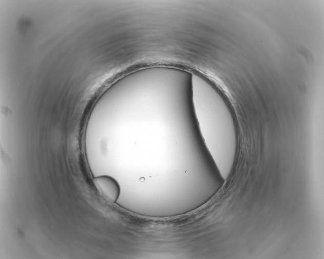 X0000091350487200708101039
