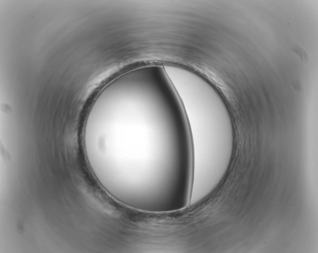 X0000091350488200708101039