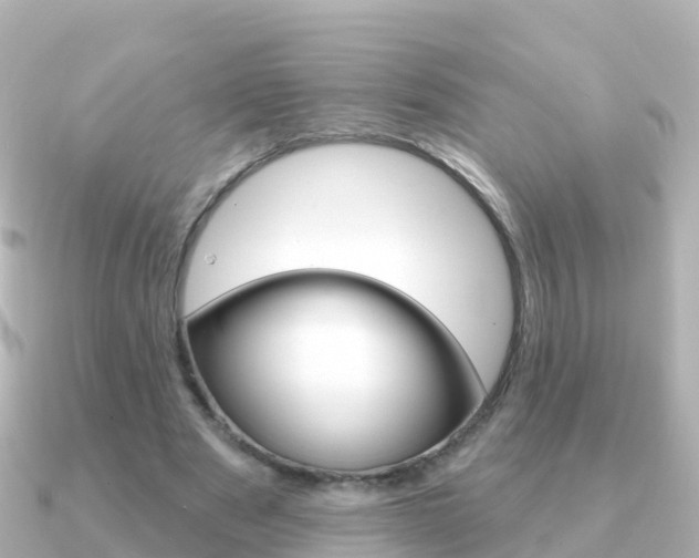 X0000091350489200708101039