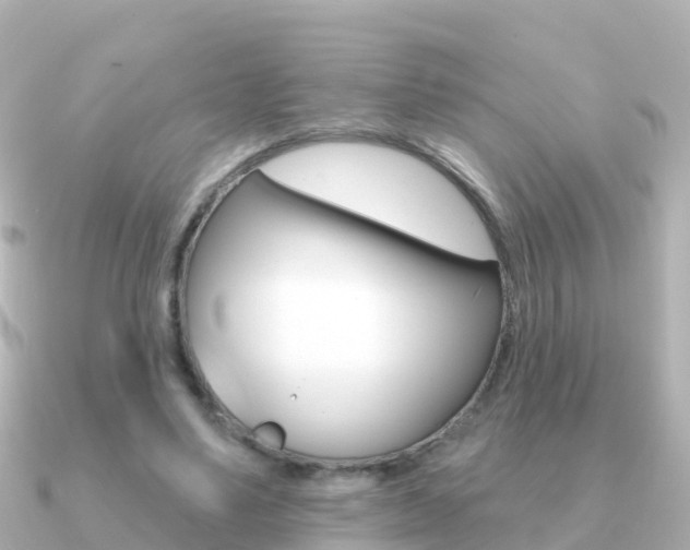 X0000091350491200708101039