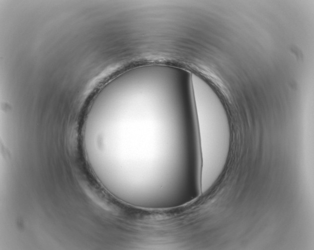 X0000091350492200708101039