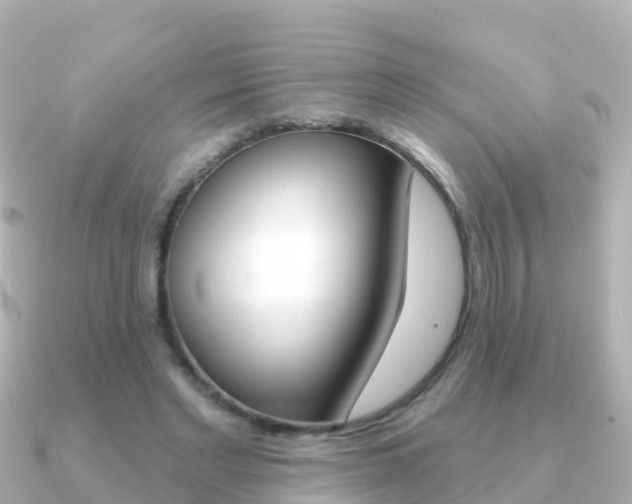 X0000091350493200708101039