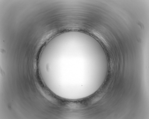 X0000091350494200708101039