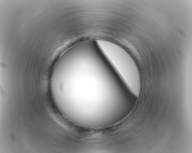 X0000091350496200708101039