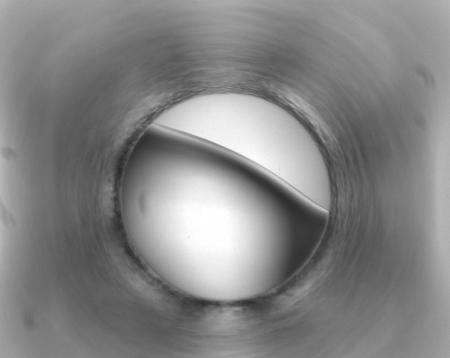 X0000091350497200708101039