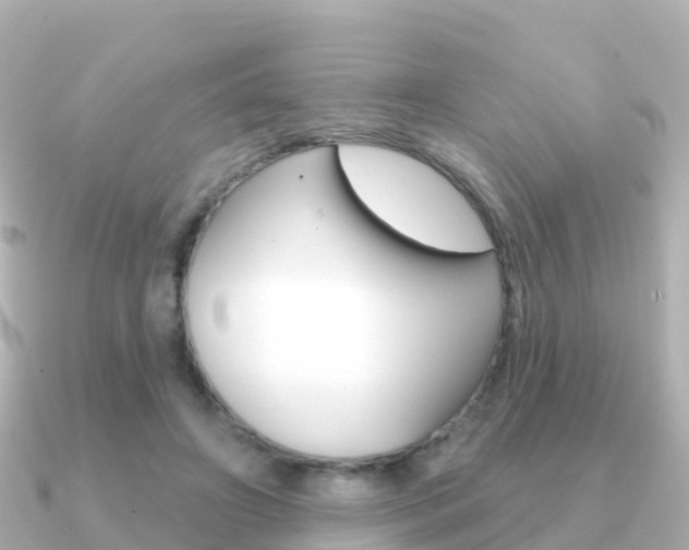 X0000091350498200708101039