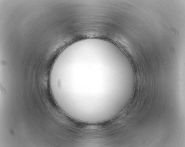 X0000091350499200708101039