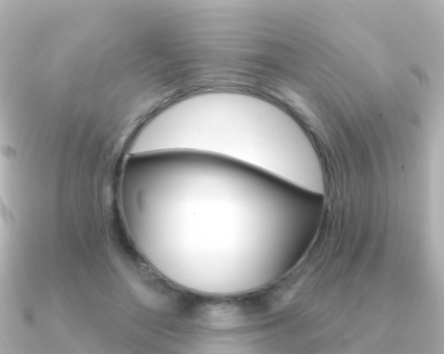 X0000091350500200708101039