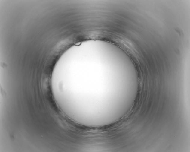 X0000091350503200708101039