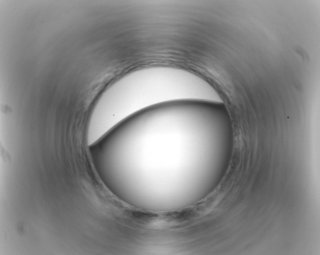X0000091350504200708101039