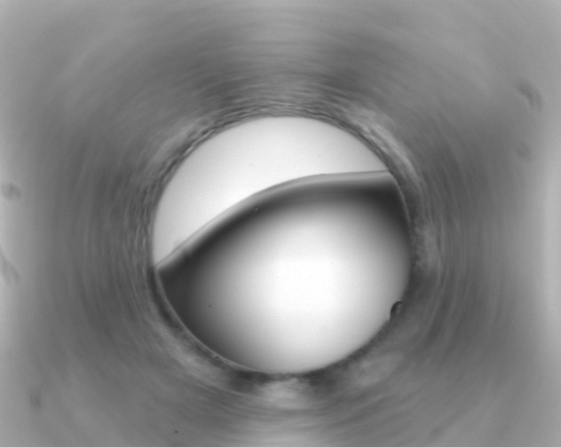 X0000091350505200708101039