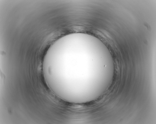 X0000091350507200708101039