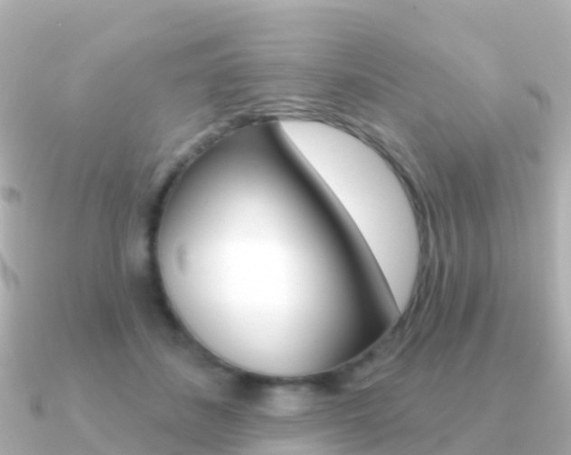 X0000091350508200708101039