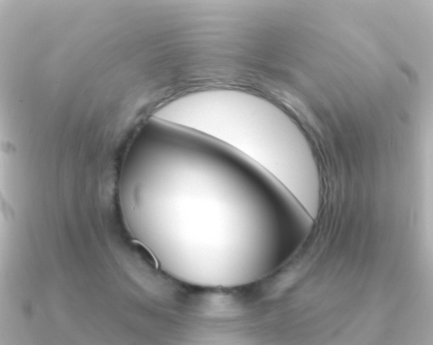 X0000091350509200708101039